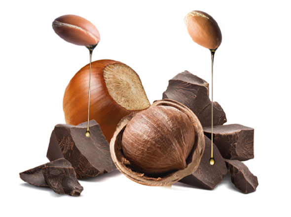 Gianduja Chocolat Noisette et Huile d’Argan 
Oriental Legend Glacier Marrakech