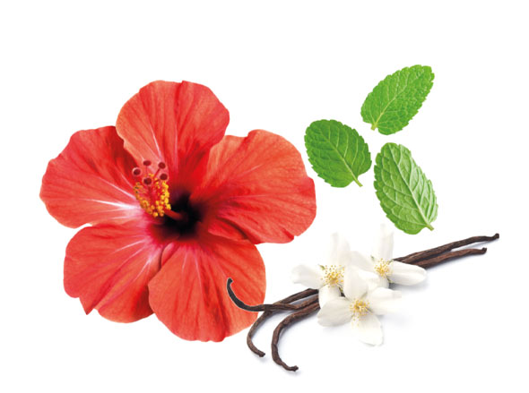 Hibiscus, Menthe et vanille de Tahiti
Glacier Oriental Legend Marrakech