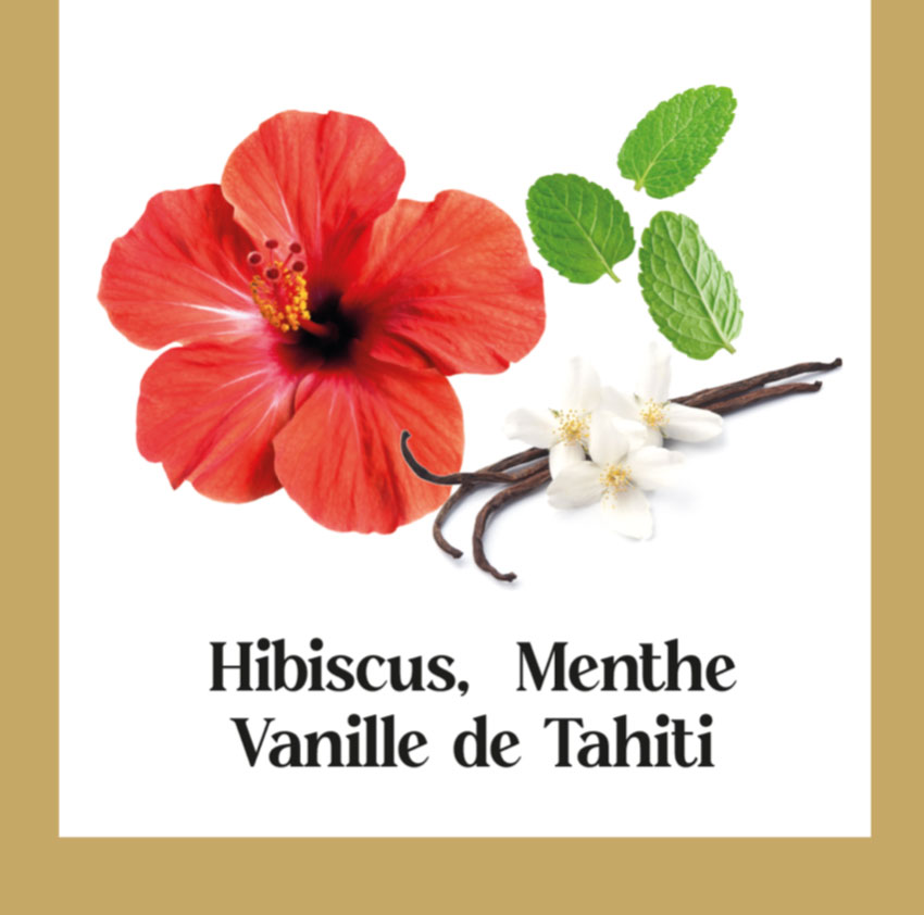 Glaces et sorbets signature  Vanille Marrakech Oriental Legend