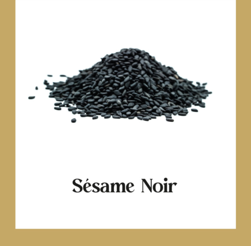 Glaces et sorbets signature Sesame Marrakech Oriental Legend