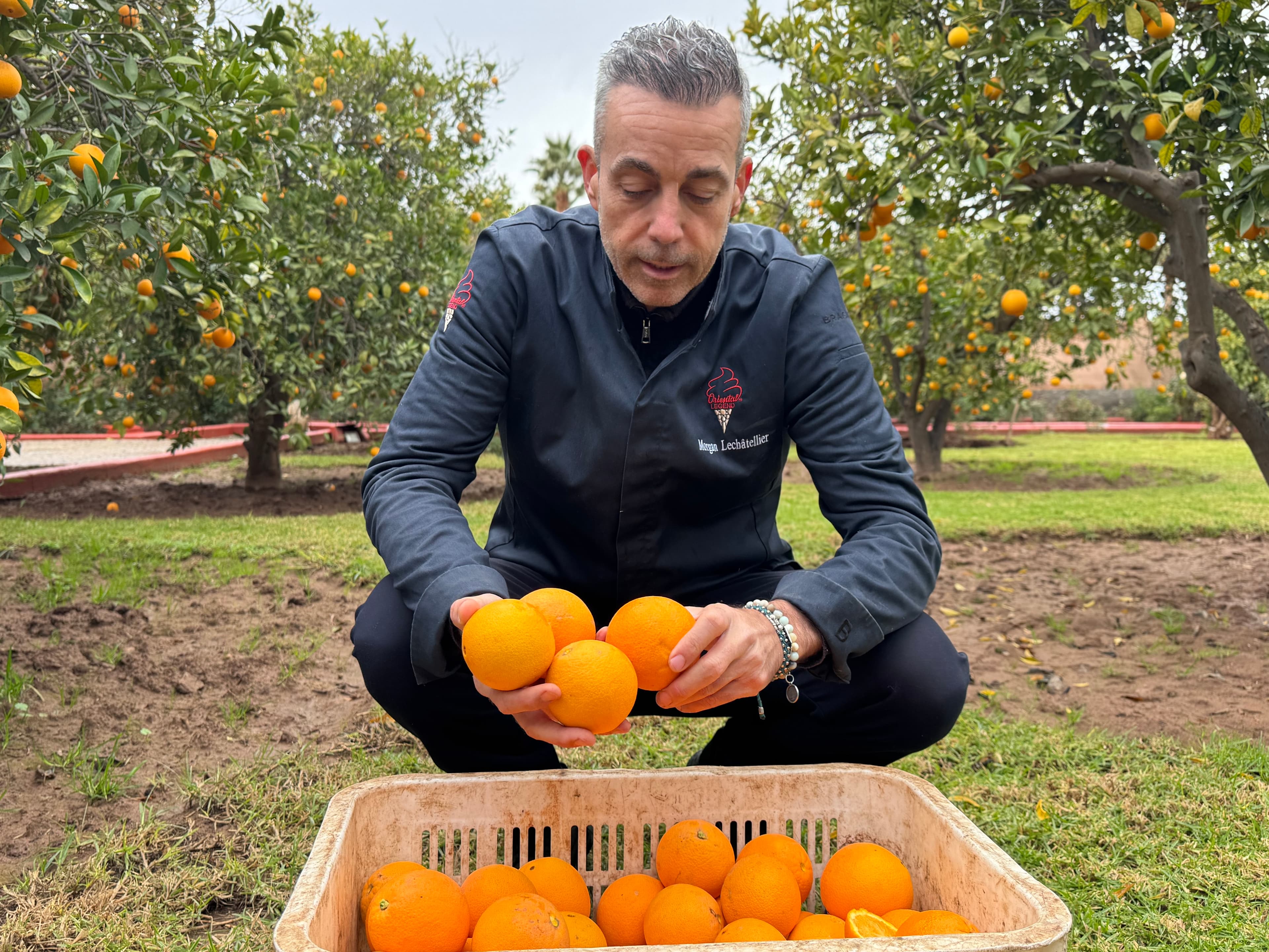Sélection des meilleurs fruits